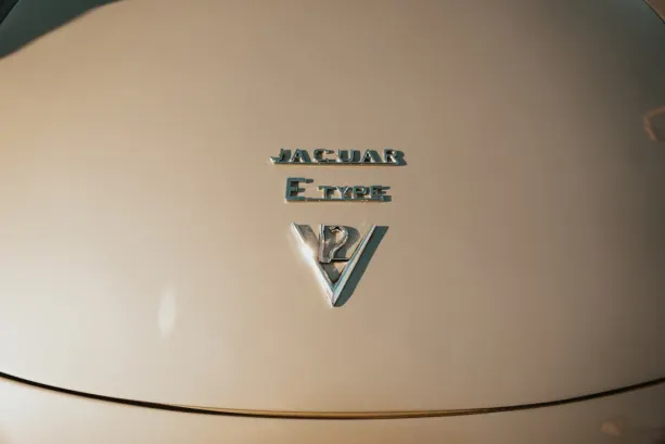 Untold Kasino Android/iOS Sovellus